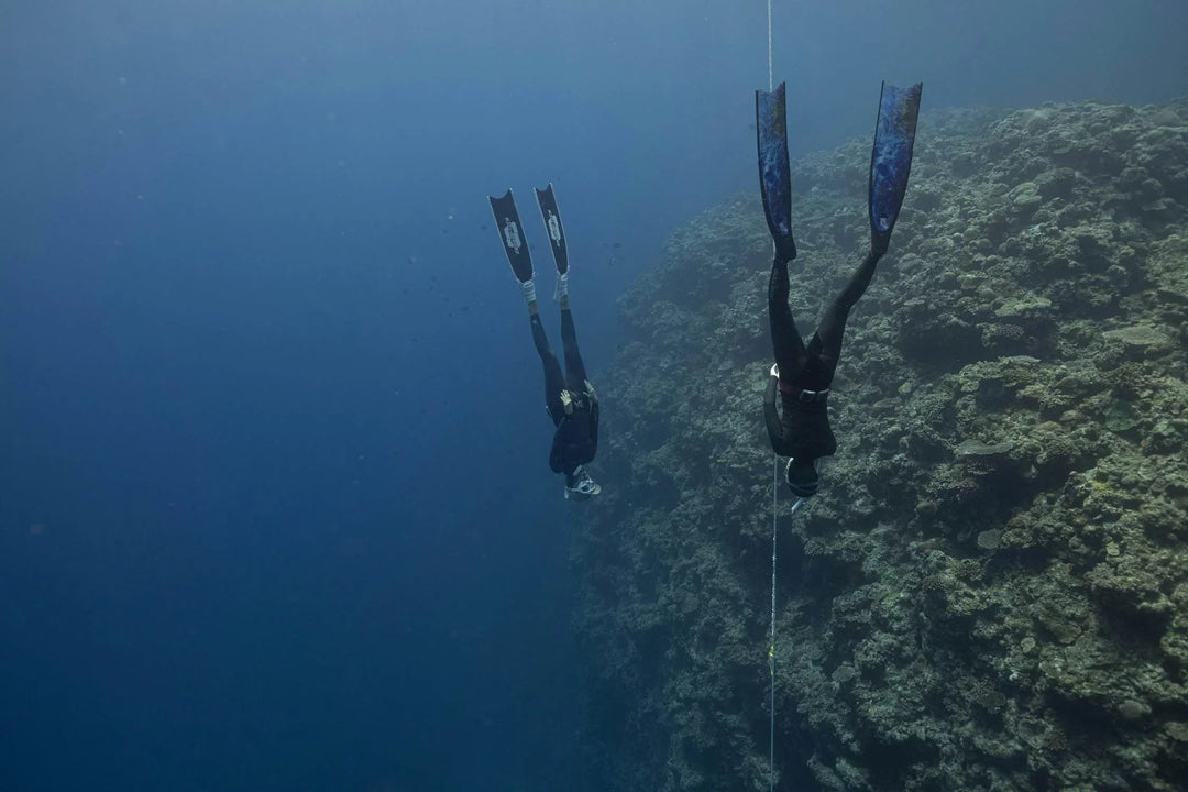What is the difference between cheap and expensive wetsuits?